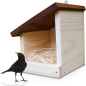 Preview: Amsel Nisthaus